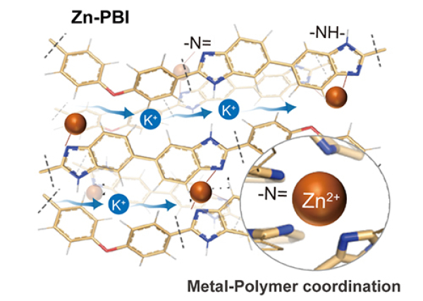大连化物所设计开发出具有K+高效传输能力的离子传导膜