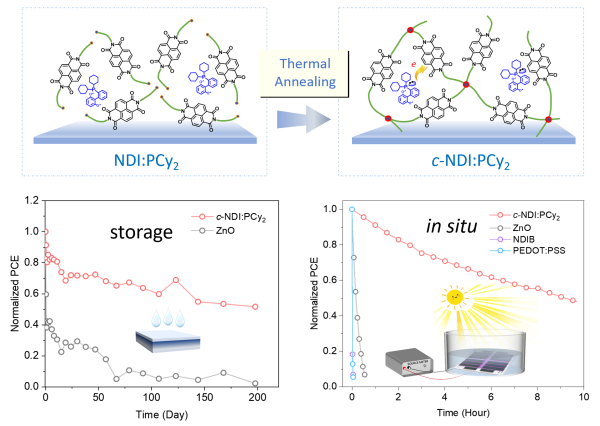 有机膦掺杂的交联阴极界面层提升有机光伏电池水下存储与工作稳定性 有机膦掺杂的交联阴极界面层提升有机光伏电池水下存储与工作稳定性