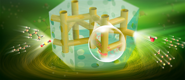 大连化物所提出二氧化碳大规模资源化耦合利用新途径 大连化物所提出二氧化碳大规模资源化耦合利用新途径