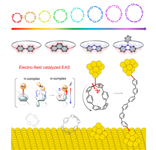 碳纳米环带单分子器件 碳纳米环带单分子器件