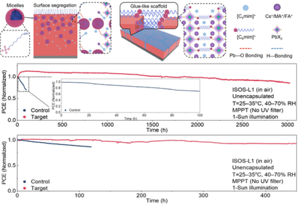 宁波材料所在提升钙钛矿/硅叠层太阳能电池稳定性方面取得进展 宁波材料所在提升钙钛矿/硅叠层太阳能电池稳定性方面取得进展