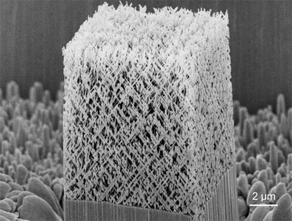 准体心立方纳米梁晶格SEM图片 准体心立方纳米梁晶格SEM图片