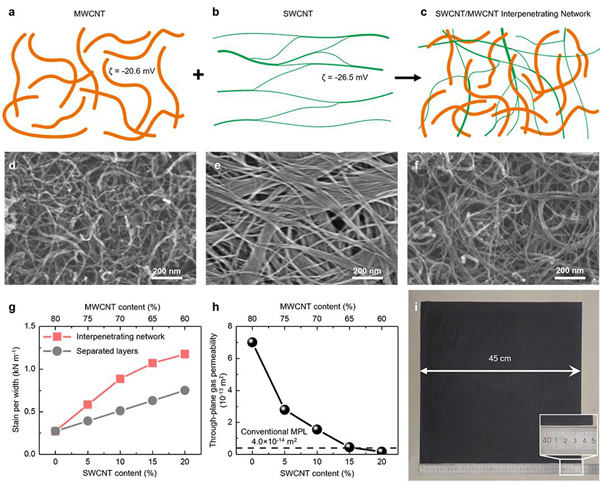 互穿网络的形成和独立式微孔层的高强度、高透气性 互穿网络的形成和独立式微孔层的高强度、高透气性