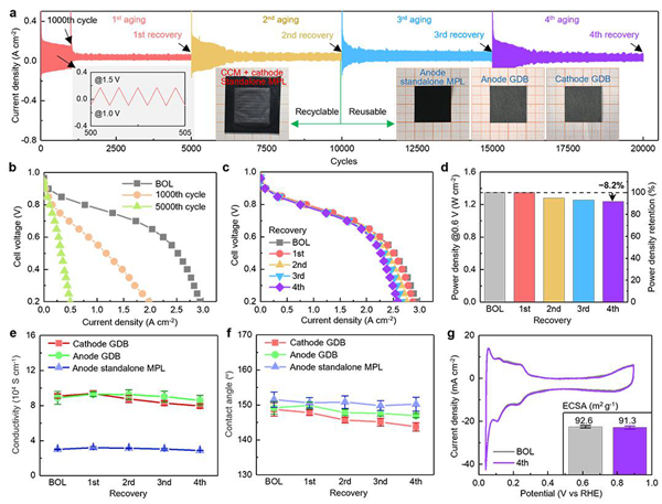 气体扩散层的重复利用 气体扩散层的重复利用