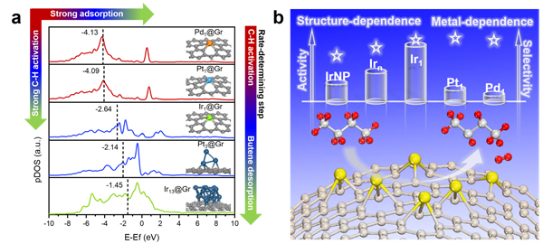 金属所等在亚纳米尺度原子级分散Ir高效催化丁烷脱氢研究中获进展 金属所等在亚纳米尺度原子级分散Ir高效催化丁烷脱氢研究中获进展