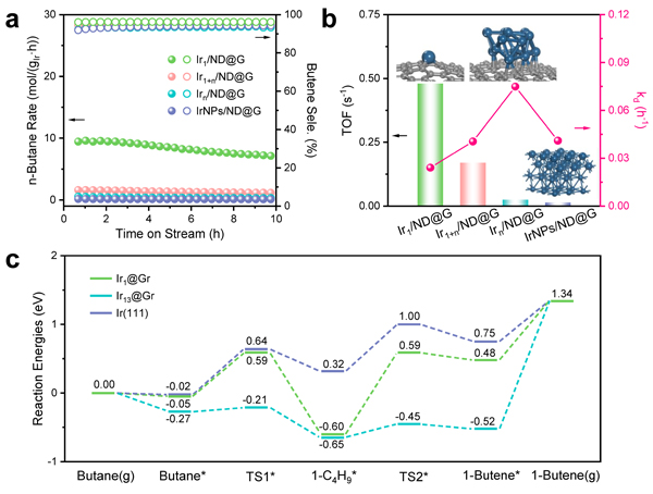 金属所等在亚纳米尺度原子级分散Ir高效催化丁烷脱氢研究中获进展 金属所等在亚纳米尺度原子级分散Ir高效催化丁烷脱氢研究中获进展