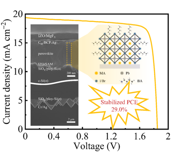 基于钙钛矿表面重构的两端口钙钛矿/硅叠层太阳电池 基于钙钛矿表面重构的两端口钙钛矿/硅叠层太阳电池