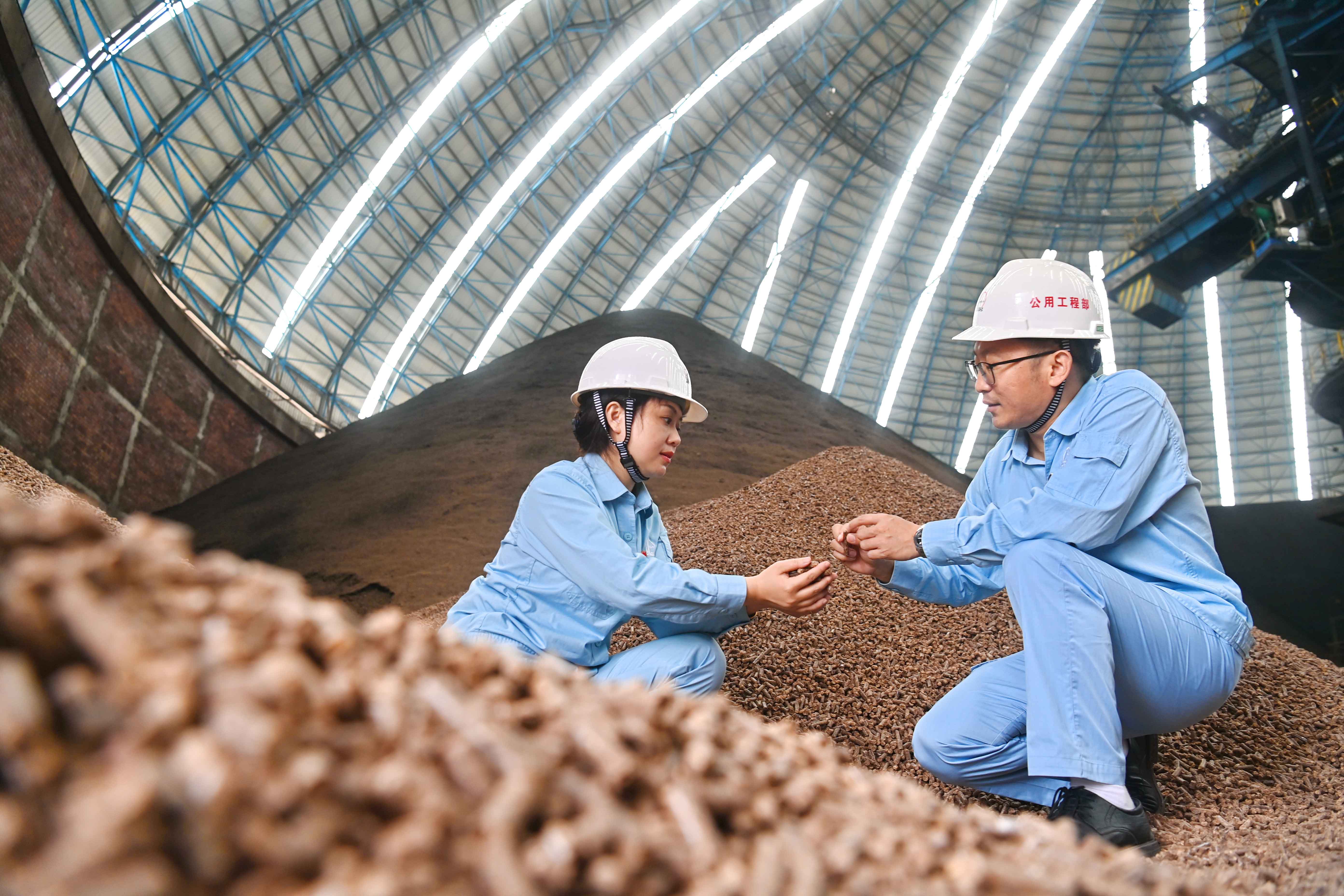 中科炼化掺烧生物质燃料 中科炼化掺烧生物质燃料
