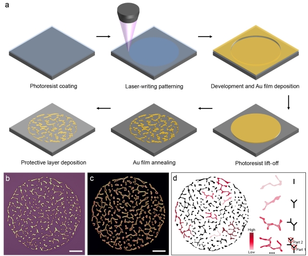 PUF的制作流程及表征 PUF的制作流程及表征