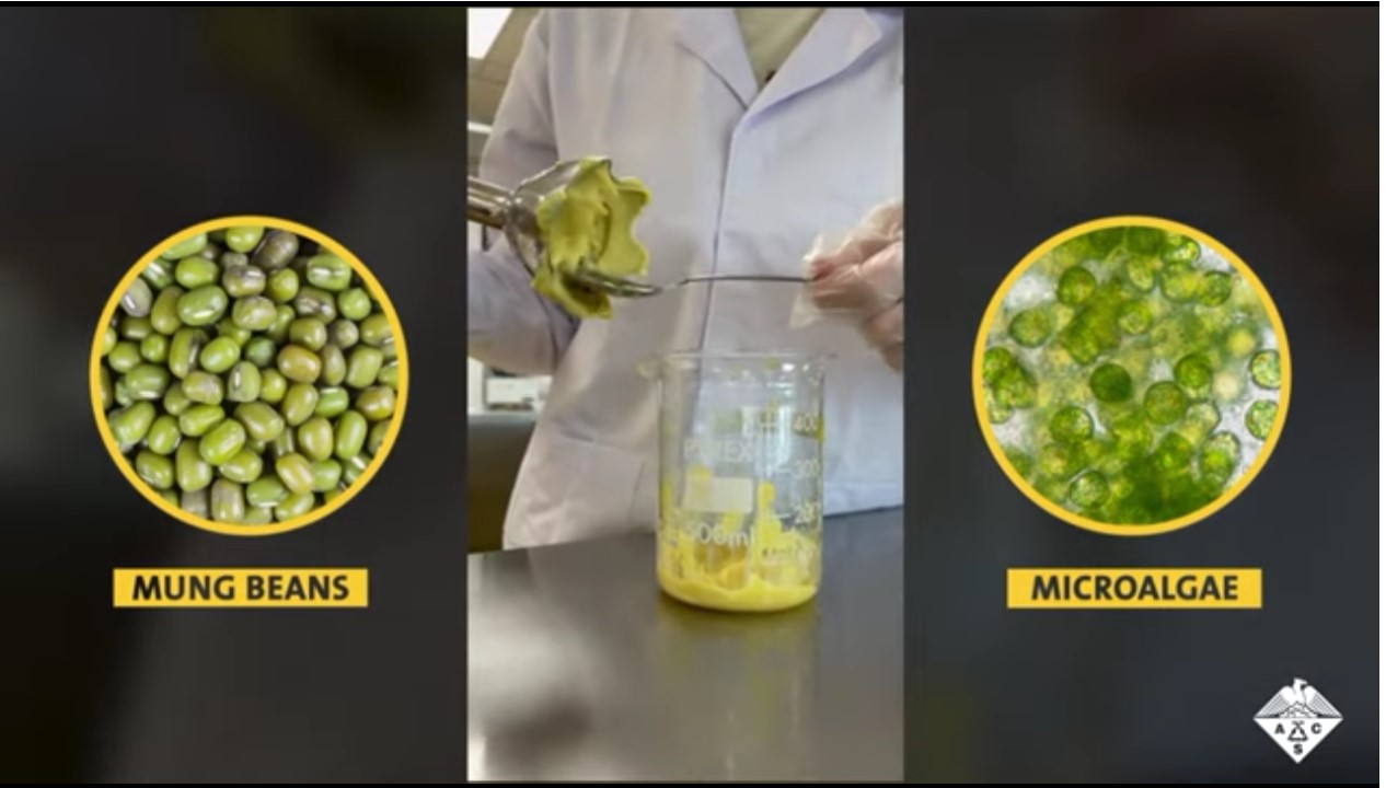 3D打印植物基墨水和打印过程 3D打印植物基墨水和打印过程