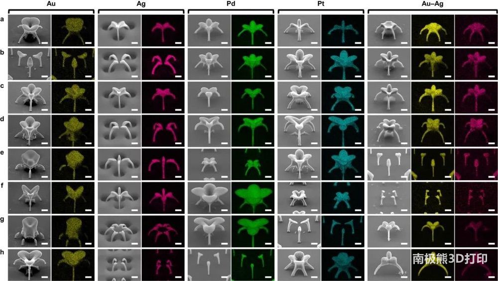 三维纳米结构的EDS映射分析 三维纳米结构的EDS映射分析