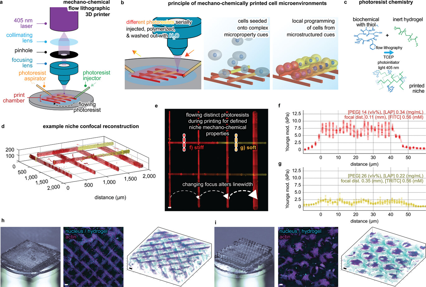微结构壁龛的机械化学流光刻 (MCFL) 3D打印技术 微结构壁龛的机械化学流光刻 (MCFL) 3D打印技术