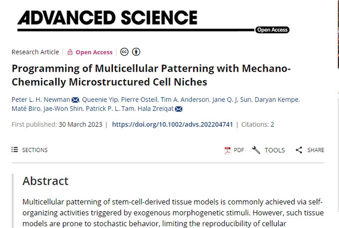 研究人员在功能性人体组织3D打印方面取得突破 研究人员在功能性人体组织3D打印方面取得突破