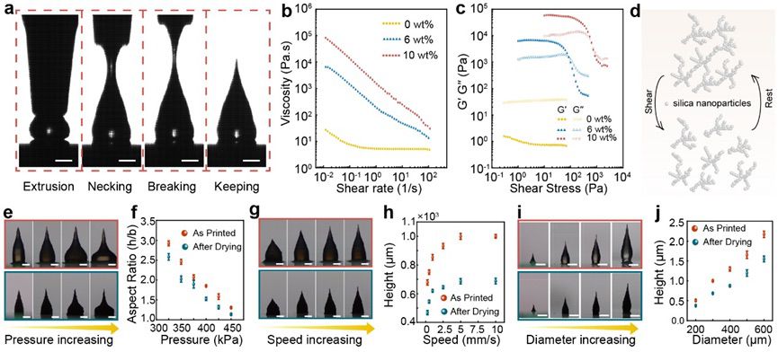 通过墨水直写3D打印技术制备具有可控形状的微针 通过墨水直写3D打印技术制备具有可控形状的微针