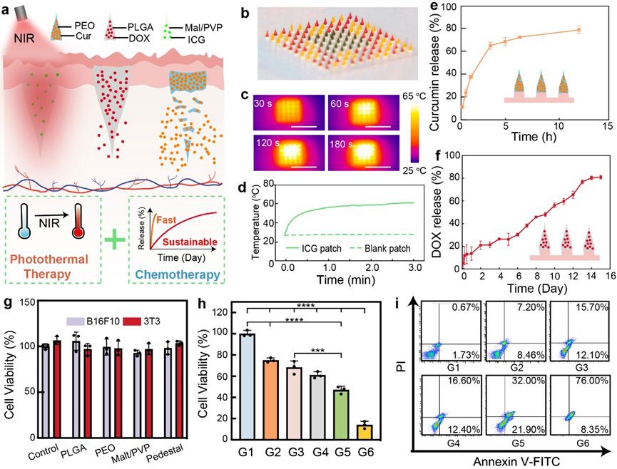 多功能微针贴片用于体外抗肿瘤治疗 多功能微针贴片用于体外抗肿瘤治疗