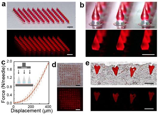 用于可靠皮肤扎入的双层微针 用于可靠皮肤扎入的双层微针