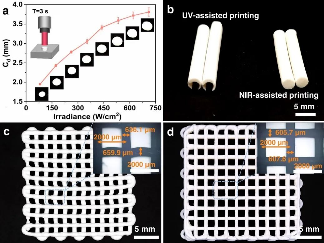 紫外光与近红外光的固化深度 紫外光与近红外光的固化深度