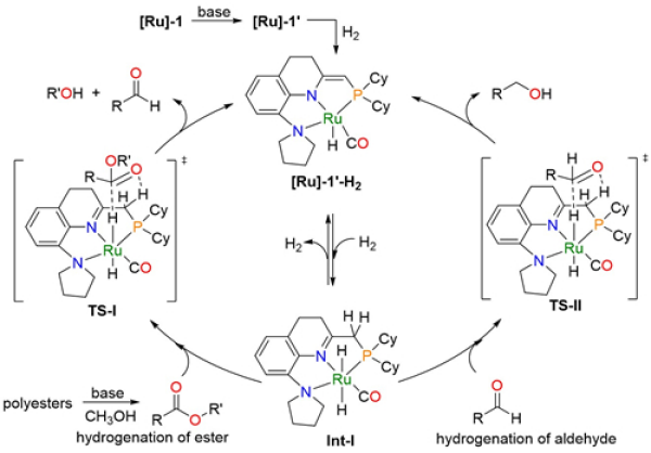 宁波材料所发展出废弃聚酯高效降解新方法 宁波材料所发展出废弃聚酯高效降解新方法