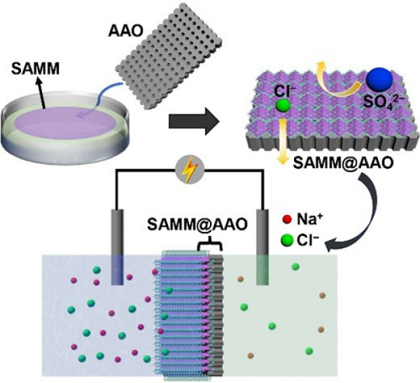 大连化物所开发出用于盐差发电的自组装多孔MOF单层膜 大连化物所开发出用于盐差发电的自组装多孔MOF单层膜