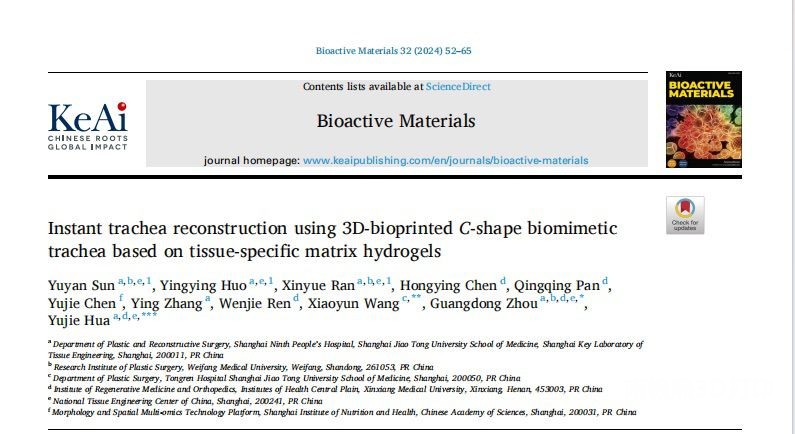 利用基于组织特异性基质水凝胶的3D打印C形仿生气管进行即时气管重建