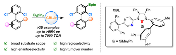 兰州化物所氯代芳烃不对称碳氢转化研究获进展