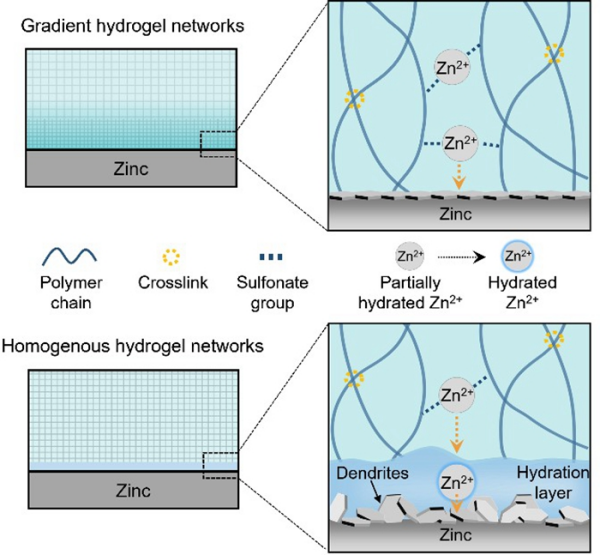 理化所开发出梯度凝胶电解质 理化所开发出梯度凝胶电解质