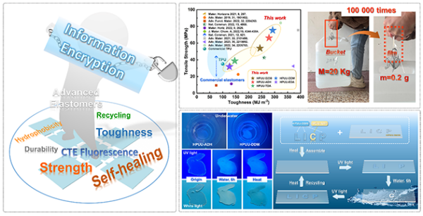 HPUU-R弹性体的设计、制备和性能