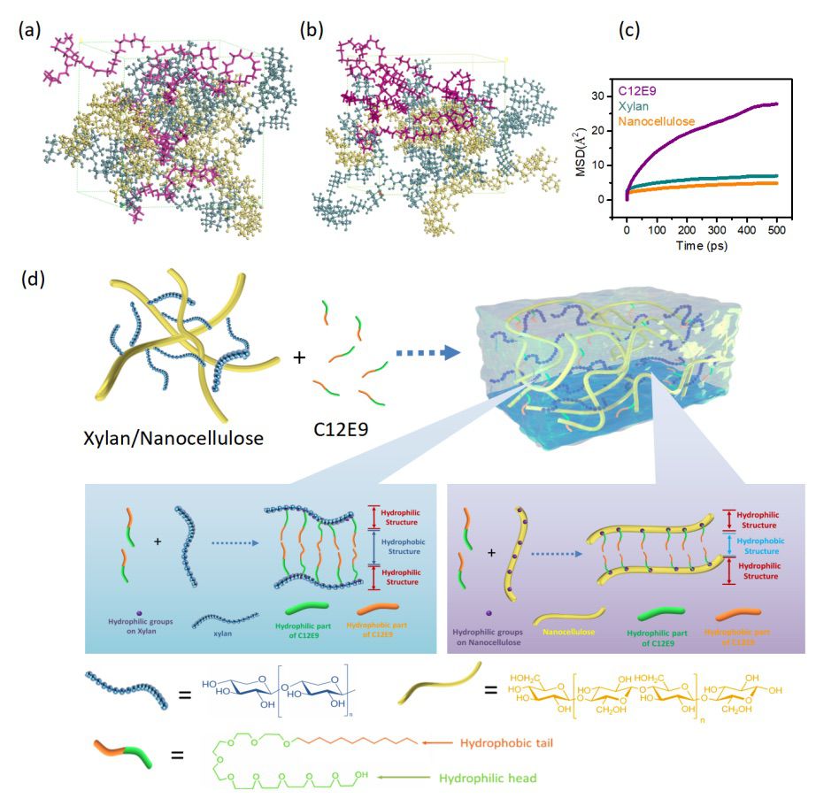 以纳米纤维素复合材料制作3D打印浆料并垂直打印高分辨率微型结构 以纳米纤维素复合材料制作3D打印浆料并垂直打印高分辨率微型结构
