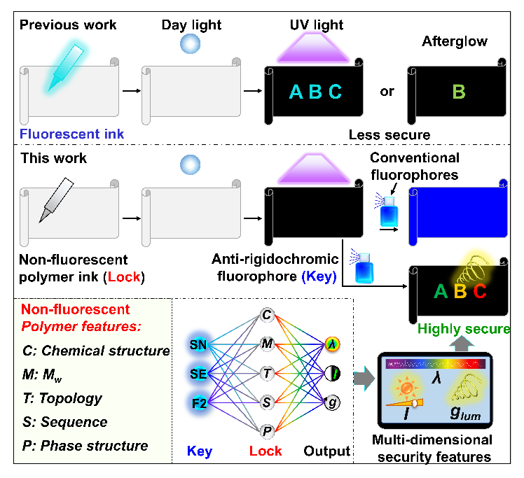 通过非荧光型聚合物进行数据加密和防伪 通过非荧光型聚合物进行数据加密和防伪