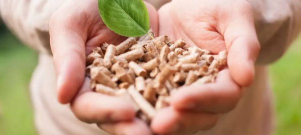 颗粒燃料对脱碳目标至关重要 颗粒燃料对脱碳目标至关重要