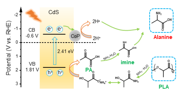 光催化重整废弃PLA制备丙氨酸 光催化重整废弃PLA制备丙氨酸