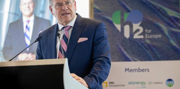 欧盟 绿色氢 电解槽 欧盟 绿色氢 电解槽