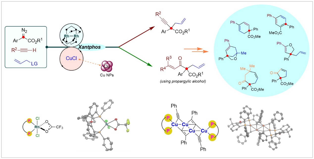 W020240222369557173483.jpg 铜/铑双金属协同催化的卡宾发散性双官能团反应 W020240222369557173483.jpg 铜/铑双金属协同催化的卡宾发散性双官能团反应